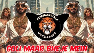 Goli Maar Bheje Mein  Dj Song  Roadshow Mix  DJ AMOL A2B  Punekarwala Unreleased [upl. by Ariel]