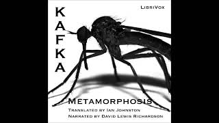 1915 The Metamorphosis by Franz Kafka Complete full free audio book [upl. by Aikal]