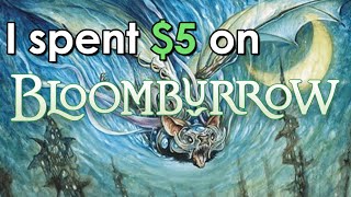 I Spent 5 on Bloomburrow  Magic the Gathering  Mtg [upl. by Barthel521]