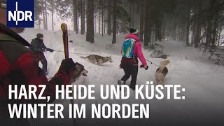 Erlebnis Winterzauber  die nordstory  NDR Doku [upl. by Sixel]