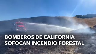 Bomberos de California sofocan incendio forestal [upl. by Torres]