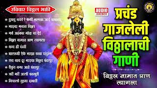 प्रचंड गाजलेली विठ्ठलाची गाणी  विठ्ठल नामात प्राण त्यागला  Vitthal Songs Marathi पांडुरंगाची गाणी [upl. by Finnigan]