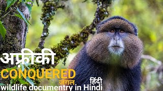 The cunquered forest  हिंदी डॉक्यूमेंट्री  Africa wildlife documentry in Hindi [upl. by Marianne]