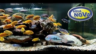 Napowietrzacz do akwarium Aquarium air pump Aquarien Luftpumpen [upl. by Tlihcox]