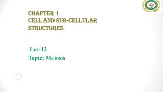 Meiosis Reduction division  Stages of Meiosis  Errors in Meiosis [upl. by Gwyn70]