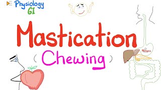 Mastication chewing   Mastication Reflex  Gastrointestinal Physiology [upl. by Airotel]