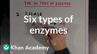 Six types of enzymes  Chemical Processes  MCAT  Khan Academy [upl. by Roxie52]