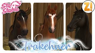 Star Stable SSO 3 neue Trakehner Farben PFERDEKAUF DEUTSCH [upl. by Thalassa958]