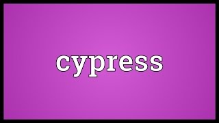 Cypress Meaning [upl. by Attenaz]