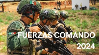 Finalizo Fuerzas Comando 2024 las mejores Fuerzas Especiales del Continente [upl. by Aerahs]