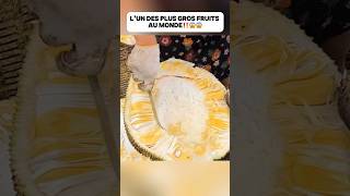 L’un des plus gros fruits au monde‼️😱😱food delicious découverte fruit astuce pourtoi fyp [upl. by Eberle921]