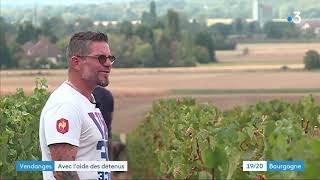 Rully  des détenus de VarennesleGrand participent aux vendanges [upl. by Ellened981]