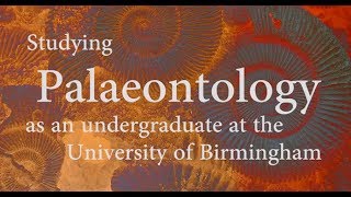 Studying Palaeontology as an undergraduate at the University of Birmingham [upl. by Isman]