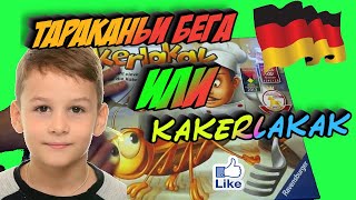 Моя любимая игра  Тараканьи бега или kakerlakak  настольные игры ravensburger [upl. by Irved]