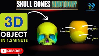 Skull Bones Anotomy 3D Animation Facial and Cranial Bones Anotomy medicalanimation [upl. by Nahta]