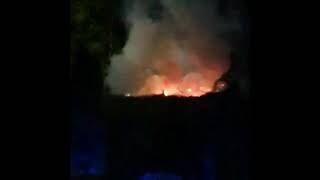 Großeinsatz der Feuerwehr bei Waldbrand in Rankweil [upl. by Alegnaed62]