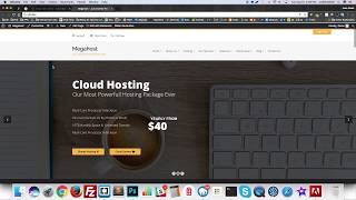 Hosting Wordpress Theme with whmcs  Megahost Install Demo Content [upl. by Ylerebmik]