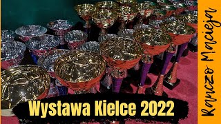 Wystawa Kielce 2022 😀😀 Udało się Sprawdźcie sami 203 [upl. by Bartko]