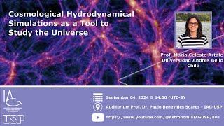 Cosmological Hydrodynamical Simulations as a Tool to Study the Universe [upl. by Ennoved574]