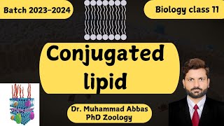 The Chemistry of Fats amp Oils Conjugated Lipids Explained [upl. by Annaira]