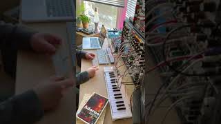 Some beauty Dasero did using TouchMe MIDI controller playtronica modularsynth [upl. by Peta]