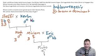 ABITRAINING  Stammbaumanalyse 2 Erkennst du die Augenfarbe von Pluto [upl. by Llednek]