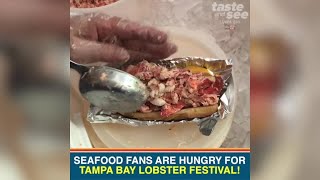 Seafood fans are hungry for Tampa Bay Lobster Festival  Taste and See Tampa Bay [upl. by Maddi]