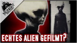 Echtes ALIEN gefilmt Die Geschichte von Skinny Bob  Dokumentation 2022 [upl. by Sage]