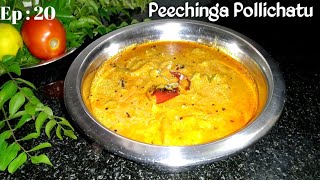 പീച്ചിങ്ങ പൊള്ളിച്ചത്How to make Peechinga PollichathuPeechinga CurryRidge Guard CurryEp 20 [upl. by Ferrel]