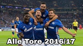 FC Schalke 04  Alle Tore 201617 ᴴᴰ [upl. by Inahc]