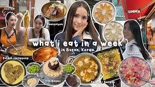 what i eat in a week in Korea aka what my Korean mom cooks for me korean food  family mukbang🌶️ [upl. by Linell]