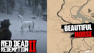 One of The Best amp Beautiful Horse in Red Dead Redemption 2 [upl. by Lenehc933]