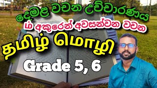 tamil learn sinhala දෙමළ බස  education tamillanguage sinhala [upl. by Asquith]