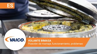 Volante bimasa Funcionamiento y problemas  ¡Mira dentro  Información técnica [upl. by Nner]