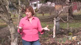 How to Grow a Serviceberry Tree [upl. by Connel788]