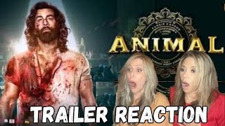 ANIMAL Official Trailer Reaction  Ranbir Kapoor amp Sandeep Vanga  NETFLIX [upl. by Yngiram]