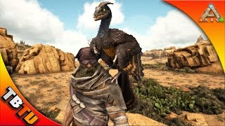 MICRORAPTOR TAMING AND BREEDING Base Expansion ARK SCORCHED EARTH GAMEPLAY  Gaming Evolved [upl. by Nahallac]