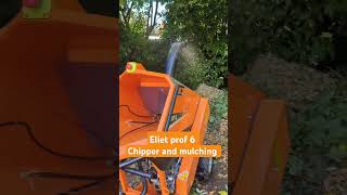 Eliet prof 6 mulcher get all around machine psdgroundscare8726 mulcher chipper arborist reels [upl. by Olivero923]