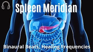 Spleen meridian  Pancreas meridian  Binaural Beats  Healing Frequencies [upl. by Otaner]