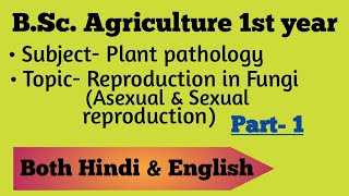 Reproduction in Fungi Asexual and sexual reproduction  BSc Ag 1st year  plant pathology [upl. by Einnoc719]