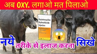 लगाओ मत पिलाओ🧑‍🔬Oxytetracycline  Oxytetracycline uses in cattle hadavetsclub [upl. by Ahsied204]