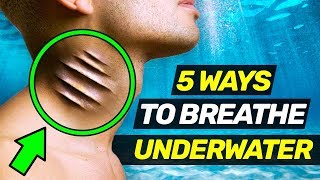 5 Insane Ways to Breathe Underwater [upl. by Alohs914]