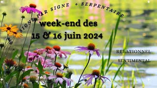 Weekend des 15 et 16 juin 2024  signe par signe  serpentaire  sentimental  relationnel [upl. by Cyndie635]