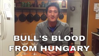 Hungarian Red Wine Bikavér aka Bull’s Blood from Eger [upl. by Attennod]