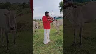 Pullanguzhal Kodutha Moongilgale Violin [upl. by Bert225]