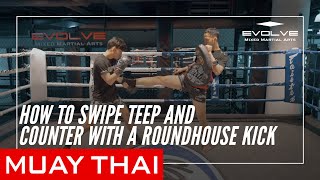 Muay Thai  How To Swipe Teep And Counter With A Roundhouse Kick [upl. by Griselda722]