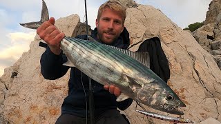 SHORE JIGGING amp DEEP SPINNING  Palamite e barracuda invernali  Winter bonitos and barracudas [upl. by Slosberg]