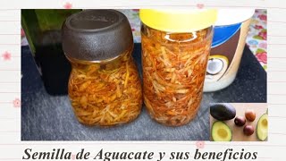 Semilla de Aguacate 🥑 y sus Beneficios para el Cuidado del Cabello [upl. by Azil]