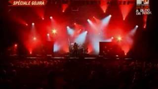 Gojira  Vacuity Live at Garorock Festival 2009 [upl. by Luca184]