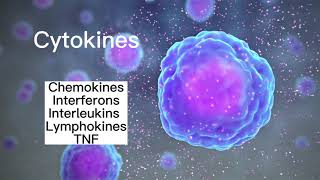 Cytokines [upl. by Etnoek]